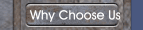 Why Choose Us